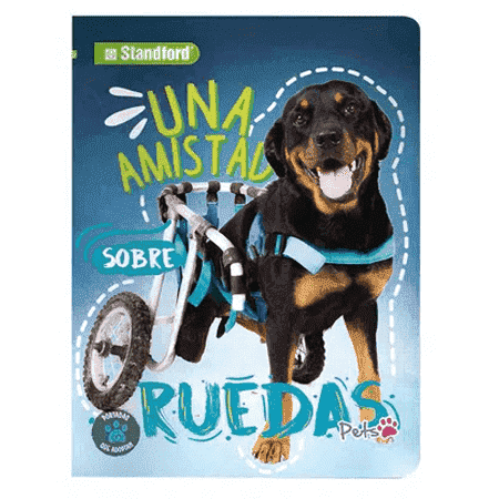 STANDFORD CUADERNO A4 CUADRI PETS 84H 