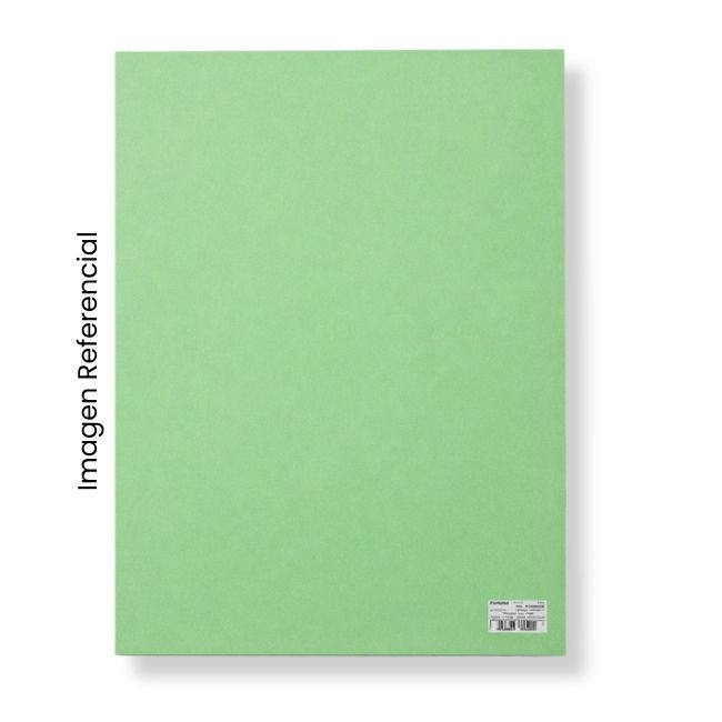 CARTULINA CANSON VERDE MANZANA 150G 50x65