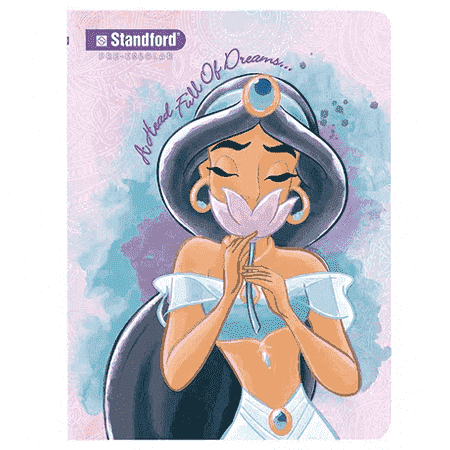 STANDFORD CUADERNO A4 DECROLY DISNEY PRE 80H 