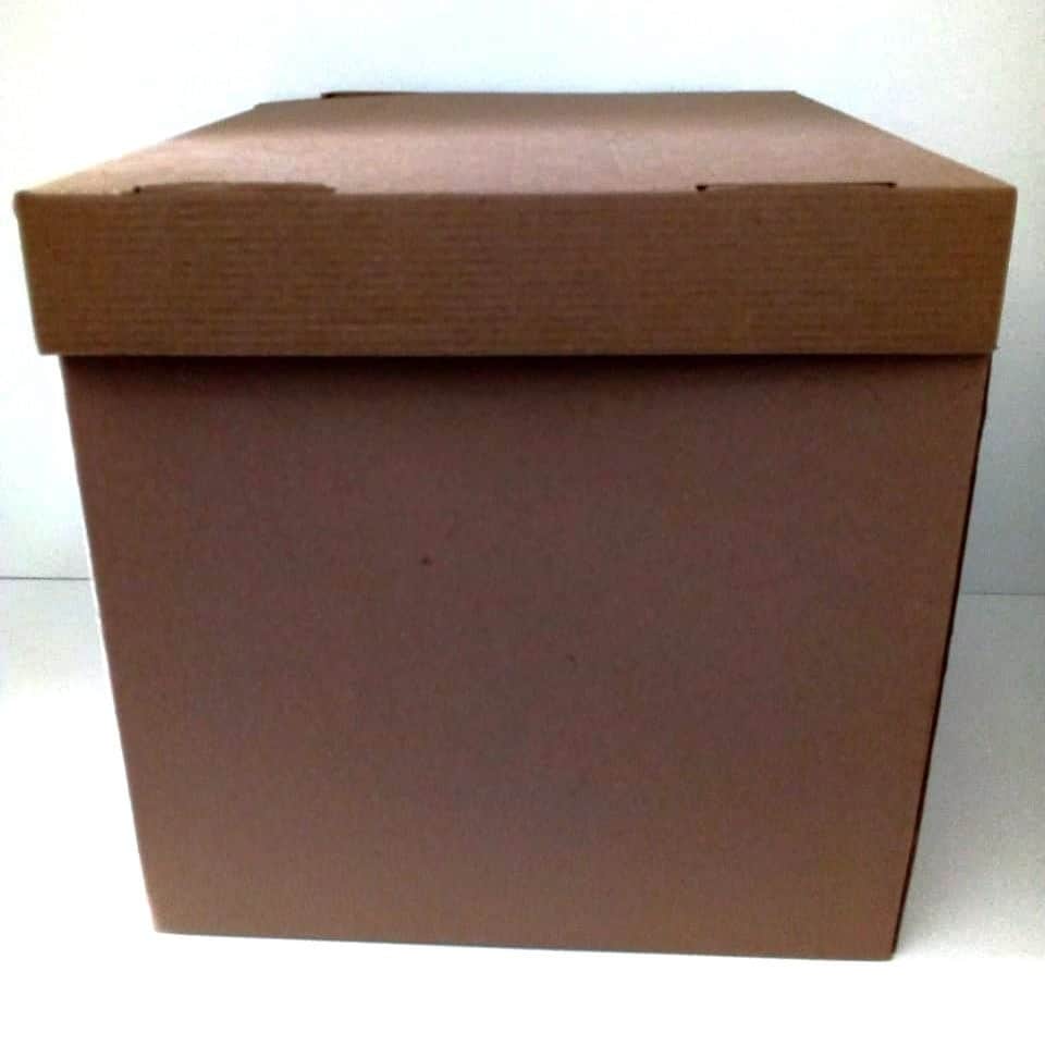 CAJA DE CARTON ARMABLE 30X30 NATURAL