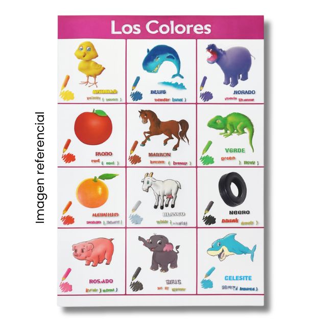 LAMINA 50X70 LOS COLORES