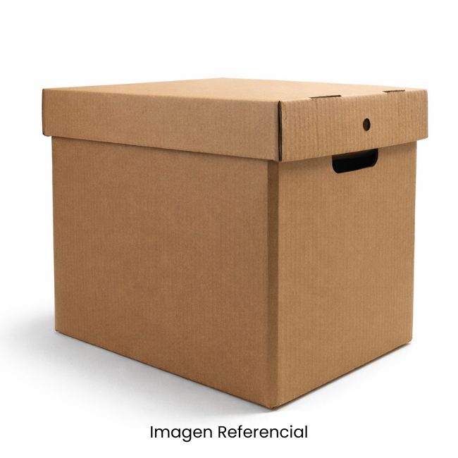 CAJA ARCHIVERA GRANDE 50x35x30 cm 
