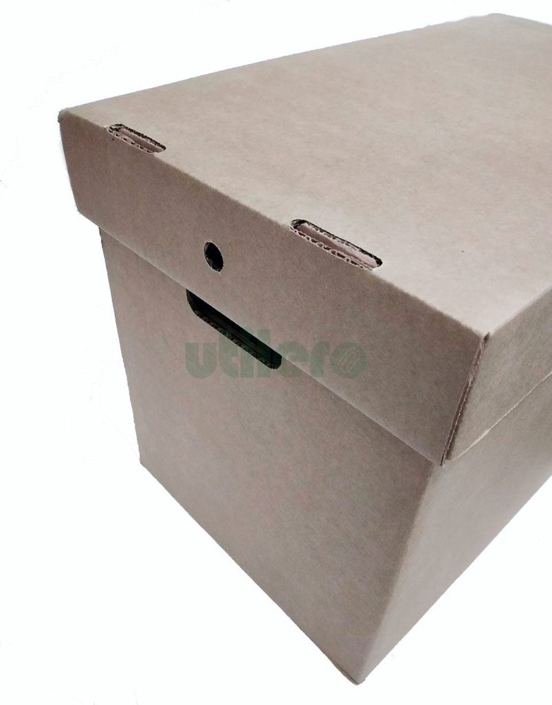 CAJA ARCHIVERA GRANDE 50x35x30 cm 