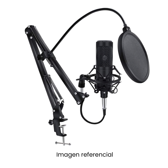 SEISA MICROFONO PROFESIONAL BM-65 CON CONDENSADOR + BRAZO RACK + FILTRO USB PARA PC GAMER