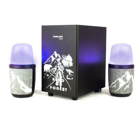 HALION PARLANTE FOREST HA-272BT / POTENCIA 80W + BLUETOOTH +  FM + LUZ RGB