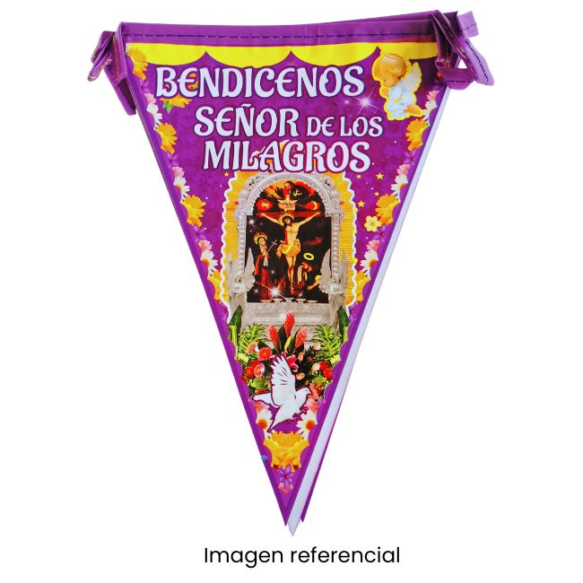 SR MILAGROS BANDERIN