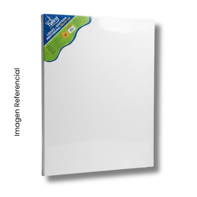 TWINS LIENZO 50X70CM AR-00524