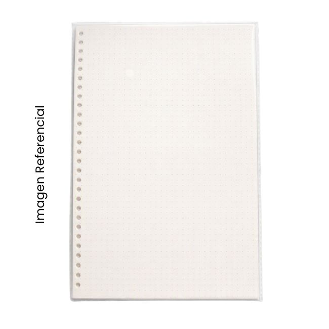 KAWAII REPUESTO DE CUADERNO 50H PUNTOS B5 1025279