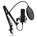 SEISA MICROFONO PROFESIONAL BM-65 CON CONDENSADOR + BRAZO RACK + FILTRO USB PARA PC GAMER
