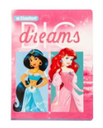 STANDFORD CUADERNO A4 RAYADO PRINCESAS A24 84H 