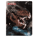STANDFORD CUADERNO A4 CUADRI SAURUS A23 84H 