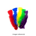 PLUMAS DE COLORES BLISTER